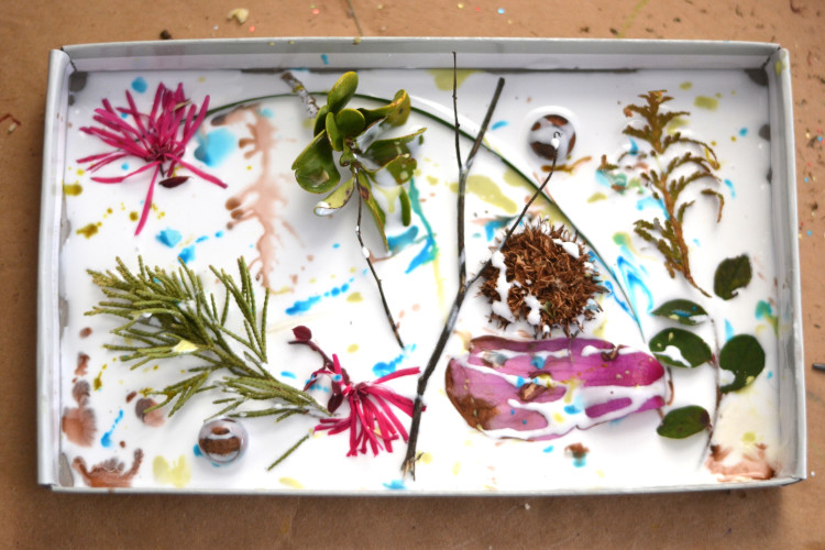 Nature Shadow Boxes